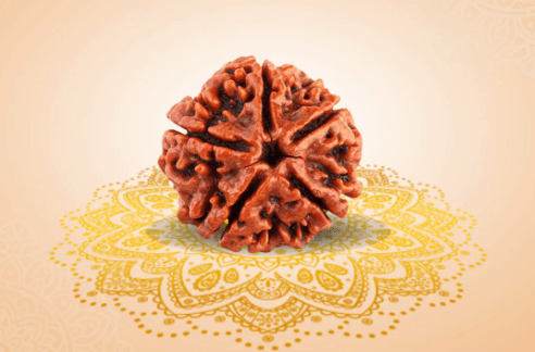5 Mukhi Rudraksha